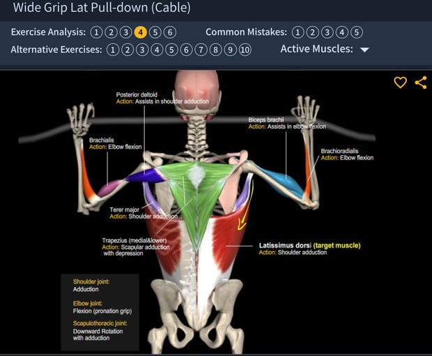 Wide-Grip Lat Pulldown